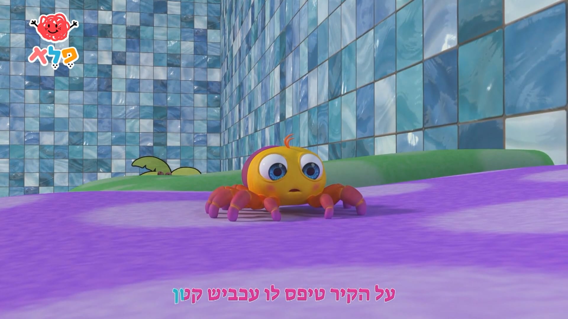 עכביש קטן